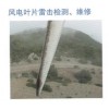 機艙罩、輪轂罩檢測評估、維修